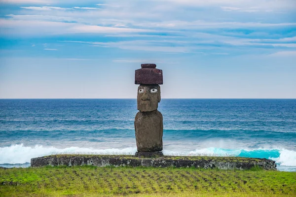 Moais 'ler gün batımında Tahai' de, Rapa Nui, Paskalya Adası. Yüksek kalite fotoğraf