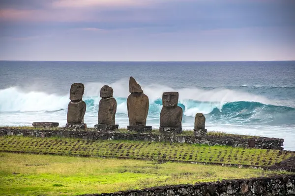 Moais 'ler gün batımında Tahai' de, Rapa Nui, Paskalya Adası. Yüksek kalite fotoğraf