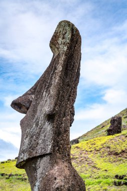 Moais, Rano Raraku taş ocağında, Rapa Nui, Paskalya Adası 'nda. Yüksek kalite fotoğraf