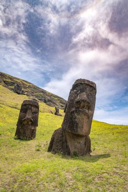 Moais, Rano Raraku taş ocağında, Rapa Nui, Paskalya Adası 'nda. Yüksek kalite fotoğraf