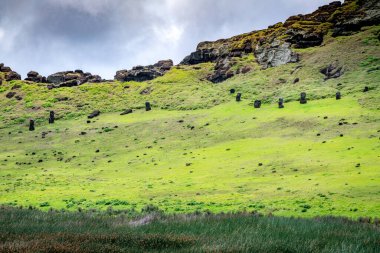 Moais, Rano Raraku taş ocağında, Rapa Nui, Paskalya Adası 'nda. Yüksek kalite fotoğraf