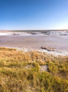 Şili 'nin dağlık arazisinin çöl manzarası. Yüksek kalite fotoğraf