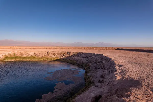 desert landscape of the Atacama salt flat, Chile. High quality photo