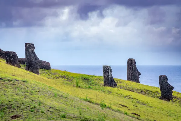 Moais Steinbruch Von Rano Raraku Rapa Nui Osterinsel Hochwertiges Foto — Stockfoto