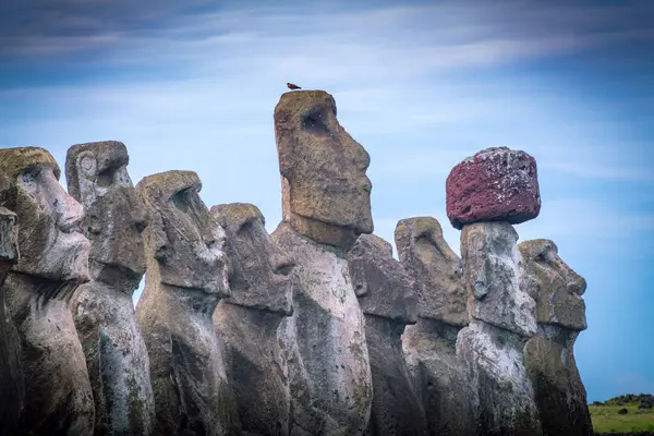 Moais Tongariki Rapa Nui Osterinsel Hochwertiges Foto — Stockfoto