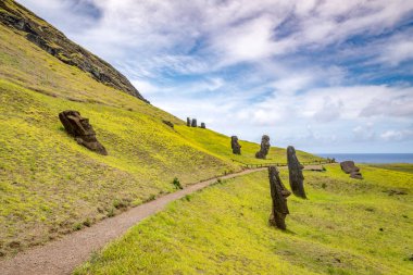 Moais, Rano Raraku taş ocağında, Rapa Nui, Paskalya Adası 'nda. Yüksek kalite fotoğraf