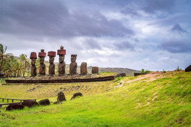 Anakena sahilinde moais, Rapa Nui, Paskalya Adası 'nda. Yüksek kalite fotoğraf