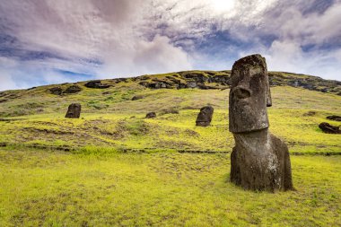 Moais, Rano Raraku taş ocağında, Rapa Nui, Paskalya Adası 'nda. Yüksek kalite fotoğraf