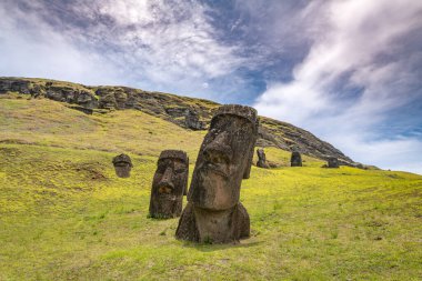 Moais, Rano Raraku taş ocağında, Rapa Nui, Paskalya Adası 'nda. Yüksek kalite fotoğraf