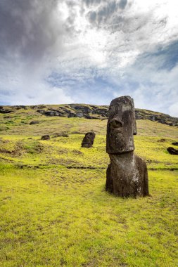 Moais, Rano Raraku taş ocağında, Rapa Nui, Paskalya Adası 'nda. Yüksek kalite fotoğraf