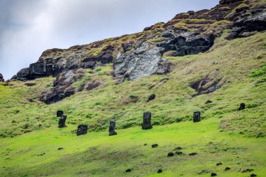 Moais, Rano Raraku taş ocağında, Rapa Nui, Paskalya Adası 'nda. Yüksek kalite fotoğraf