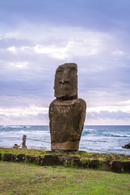 Hanga Roa 'daki Moai, Rapa Nui, Paskalya Adası. Yüksek kalite fotoğraf