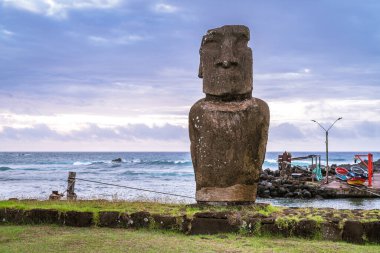 Hanga Roa 'daki Moai, Rapa Nui, Paskalya Adası. Yüksek kalite fotoğraf