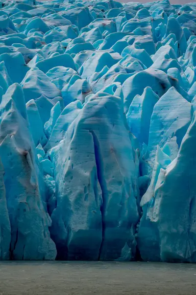 Torres del Paine Ulusal Parkı 'ndaki gri buzulda, Şili Patagonya' da. Yüksek kalite fotoğraf