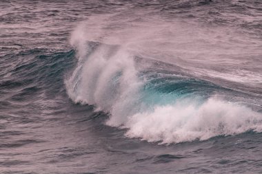 Pasifik Okyanusu 'ndaki azgın dalgalar. Yüksek kalite fotoğraf