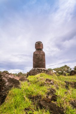 Hanga Roa 'daki Moai, Rapa Nui, Paskalya Adası. Yüksek kalite fotoğraf