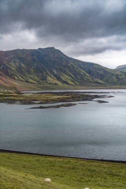 İzlanda 'nın muhteşem vahşi manzarası. Yüksek kalite fotoğraf
