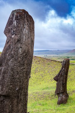 Moais, Rano Raraku taş ocağında, Rapa Nui, Paskalya Adası 'nda. Yüksek kalite fotoğraf