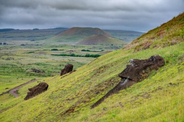 Moais, Rano Raraku taş ocağında, Rapa Nui, Paskalya Adası 'nda. Yüksek kalite fotoğraf