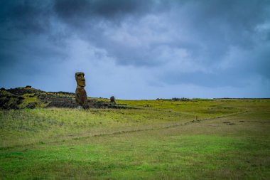 Tahai 'de moais, Rapa Nui, Paskalya Adası. Yüksek kalite fotoğraf