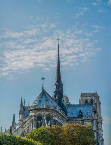 Cathedral Notre Dame Paris High Quality Photo Royalty Free Stock Images
