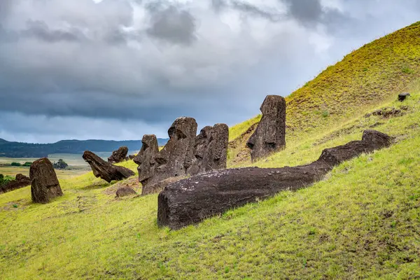 Moais Στο Λατομείο Του Rano Raraku Στο Rapa Nui Νησί Εικόνα Αρχείου