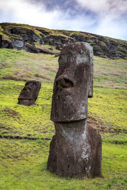 Moais, Rano Raraku taş ocağında, Rapa Nui, Paskalya Adası 'nda. Yüksek kalite fotoğraf