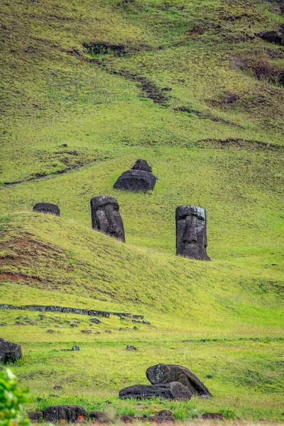 Moais Quarry Rano Raraku Rapa Nui Easter Island High Quality — Stock Photo, Image
