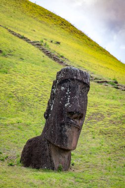Moais, Rano Raraku taş ocağında, Rapa Nui, Paskalya Adası 'nda. Yüksek kalite fotoğraf