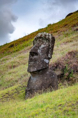 Moais, Rano Raraku taş ocağında, Rapa Nui, Paskalya Adası 'nda. Yüksek kalite fotoğraf