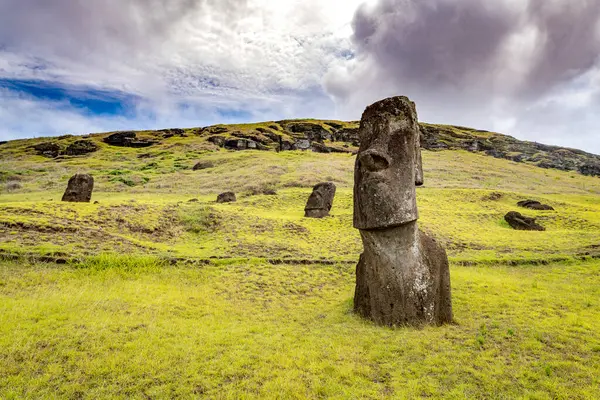 Moais, Rano Raraku taş ocağında, Rapa Nui, Paskalya Adası 'nda. Yüksek kalite fotoğraf