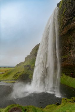 İzlanda 'daki muhteşem Seljalandsfoss şelalesi. Yüksek kalite fotoğraf