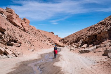 Desert landscape of the bolivian altiplano. High quality photo clipart