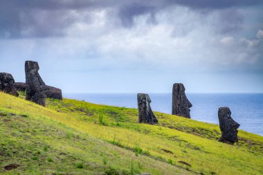 Moais, Rano Raraku taş ocağında, Rapa Nui, Paskalya Adası 'nda. Yüksek kalite fotoğraf