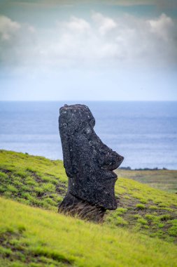 Moais, Rano Raraku taş ocağında, Rapa Nui, Paskalya Adası 'nda. Yüksek kalite fotoğraf