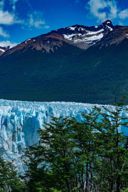 Perito Moreno 'nun Pampa Arjantin' deki buzul manzarası. Yüksek kalite fotoğraf