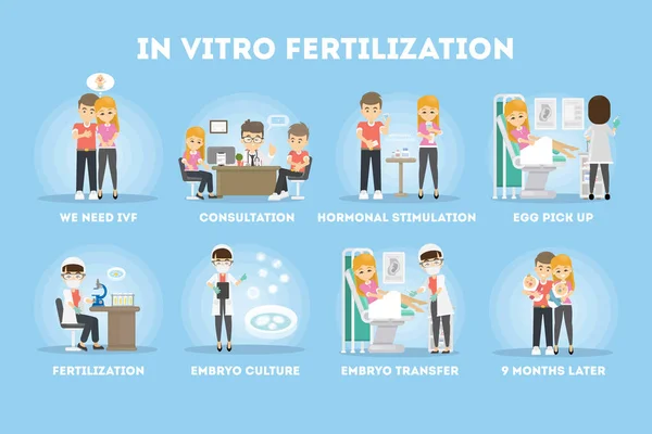 Vitro Fertilizasyon Infographic Sürecinde Genç Çift Doktor — Stok Vektör