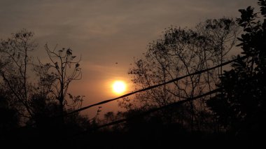 picturesque view of beautiful sun