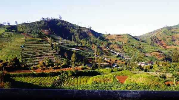 Nature View Dieng Indonesia — Stock Photo, Image