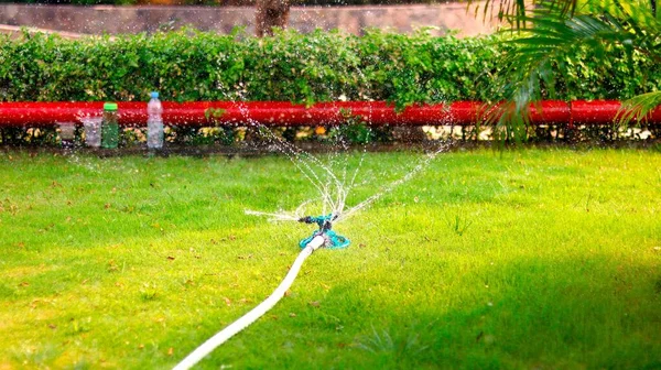 Sprinkler Vattnar Gräsmattan Trädgården Selektiv Inriktning — Stockfoto