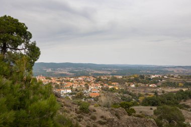 Dadia forest Restoration and Regrowth After Wildfire.