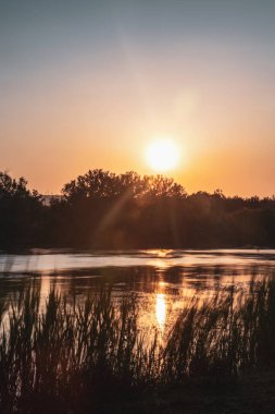 Sunset in the Tychero lake Evros northern Greece with tree silhouette.