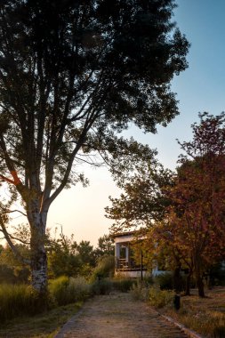 Sunset in the Tychero lake Evros northern Greece with tree silhouette.