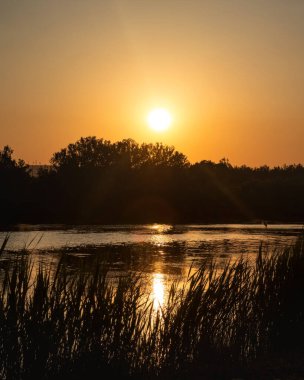 Sunset in the Tychero lake Evros northern Greece with tree silhouette.