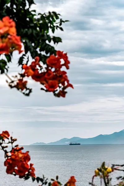 A boat in the sea and blue sky with clouds in background red flowers soft focus in front.