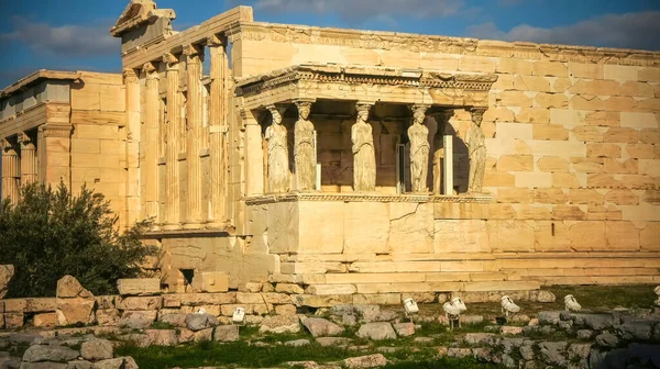 Caryatid Zasłonięta Postać Żeńska Zamiast Kolumny Jako Wsparcie Starożytnego Akropolu — Zdjęcie stockowe