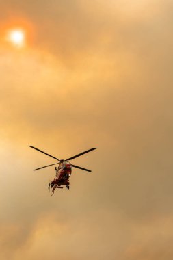 Dedeağaç Evros Yunanistan 'da büyük bir orman yangını, havaalanı ve Apalos yakınlarında, acil durum, hava itfaiyesi.