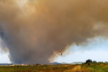 Dedeağaç Evros Yunanistan 'da büyük bir orman yangını, havaalanı ve Apalos yakınlarında, acil durum, hava itfaiyesi.