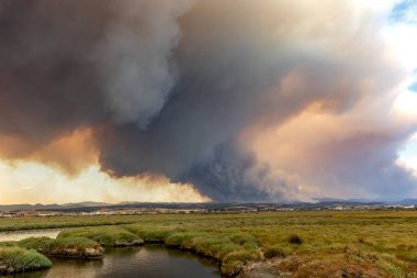 Dedeağaç Evros Yunanistan 'daki yıkıcı orman yangını, ekolojik ve çevresel felaket, duman gökyüzünü kapladı.