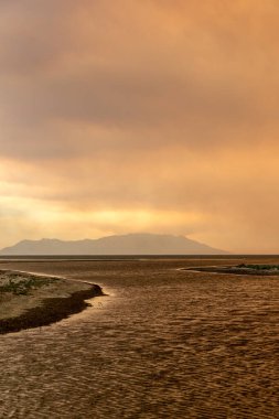 Dedeağaç Evros Yunanistan 'daki yıkıcı orman yangını, ekolojik ve çevresel felaket, duman Samothrace adasını kapladı.